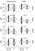 Violin plots of signal-to-noise ratio comparing SARS-CoV-2 IgG responses in serum and plasma samples before COVID-19 pandemic, Thailand and Africa. Dotted line indicates signal-to-noise ratio cutoff. Results show higher SARS-CoV-2 responses in participants from Africa than in participants from Thailand. Significance was determined by Wilcoxon rank-sum test. KE, Kenya; N, nucleocapsid; NG, Nigeria; RBD, receptor-binding domain; S1, subunit 1; S2, subunit 2; TH, Thailand; TZ, Tanzania; UG, Uganda.