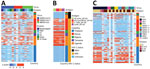 Heatmaps for outbreak coronaviruses, HIV-1, and flavivirus responses compared in a study of coronavirus antibody responses before COVID-19 pandemic, Thailand and Africa. A) IgG binding responses against SARS-CoV-2, SARS-CoV-1, and MERS-CoV. B) IgG binding responses against HIV-1 envelope antigens corresponding to CRF01_AE, CRF02_AG, subtype C, and group M. C) IgG binding responses against flaviviruses. Binding responses are presented as Z scores. Each column corresponds to a specific antigen. Each row represents a sample; the country of origin and HIV-1 status are marked in different colors. CHIKV, chikungunya virus; DENV, dengue virus; E, envelope; JEV, Japanese encephalitis virus; MERS-CoV, Middle East respiratory syndrome coronavirus; N, nucleocapsid; NS1, nonstructural 1; PLWH, persons living with HIV; PWOH, persons without HIV; RBD, receptor-binding domain; S1, subunit 1; S2, subunit 2; TBEV, tickborne encephalitis virus; YFV, yellow fever virus; WNV, West Nile virus; ZIKV, Zika virus.