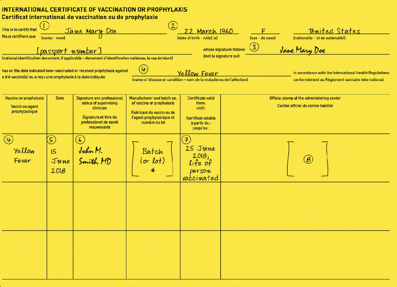 ICVP - front